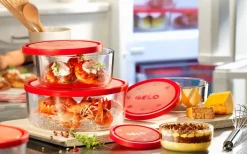 Bormioli Rocco Glazen Vershoudbakjes Frigoverre - Rood 4 Stuks