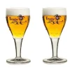 Brugse Zot Bierglazen 330 ml - 2 stuks