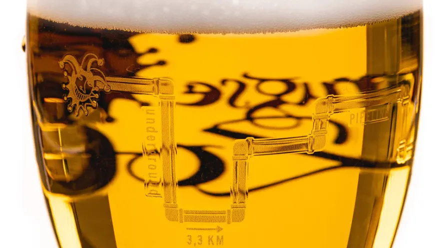 Brugse Zot Bierglazen 330 ml - 2 stuks