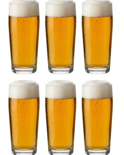 Cookinglife Bierglazen Fluitje 190 ml - 6 stuks