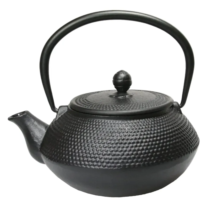 Cookinglife Theepot Arare met RVS Filter - Gietijzer Zwart - 800 ml