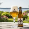 Cornet Bierglazen - 330 ml - 4 stuks