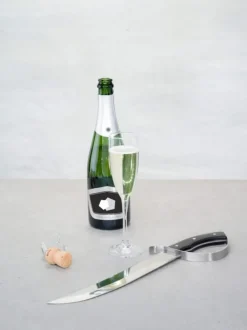 Cosy & Trendy Champagnesabel - RVS