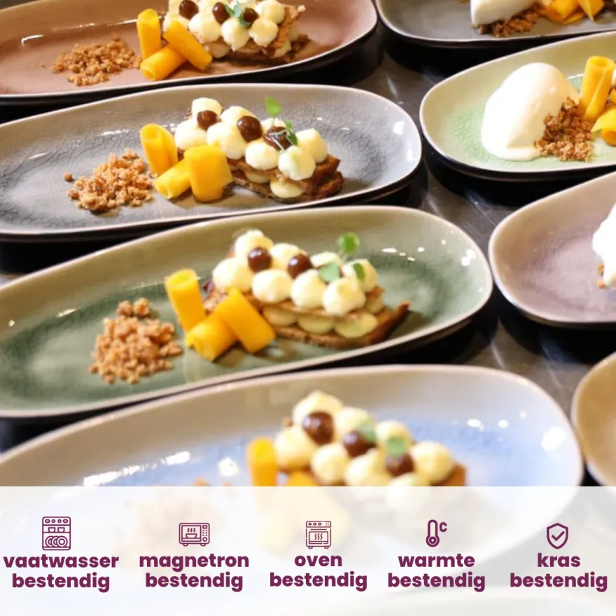 Cosy & Trendy Dessertborden / Tapasborden Streetfood 22.5 x 10 cm - 10 Stuks