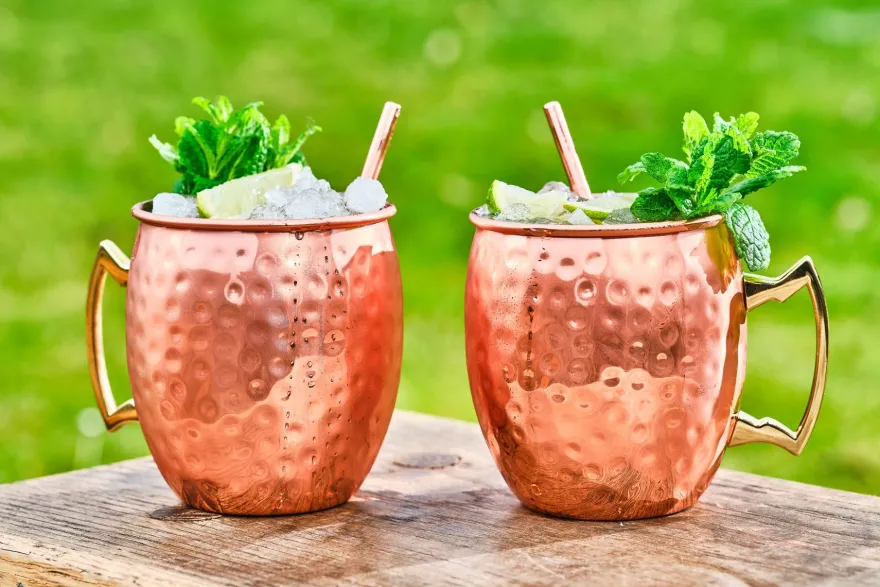 Cosy & Trendy Moscow Mule Cocktailbekers met Rietjes - Gehamerd Koper - 450 ml - 2 Stuks