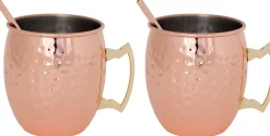 Cosy & Trendy Moscow Mule Cocktailbekers met Rietjes - Gehamerd Koper - 450 ml - 2 Stuks