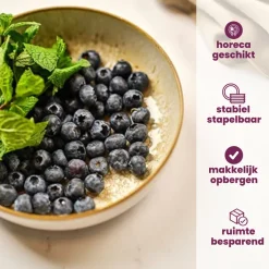 Cosy & Trendy Ontbijtborden / Dessertborden - Baltic Luna ø 20 cm - 6 stuks