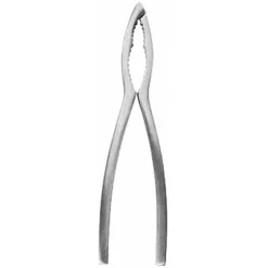 Crafts La Marée Kreeftentang RVS - 15.7 cm
