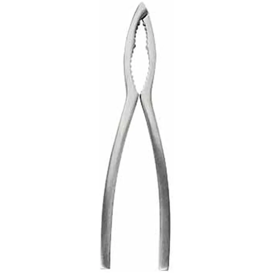 Crafts La Marée Kreeftentang RVS - 15.7 cm