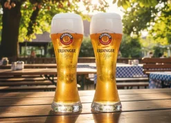Erdinger Bierglazen Weizen - 500 ml - 6 stuks