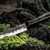 Forged Santokumes Brute 14 cm