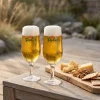 Grolsch Bierglazen op Voet Classic - 250 ml - 6 stuks