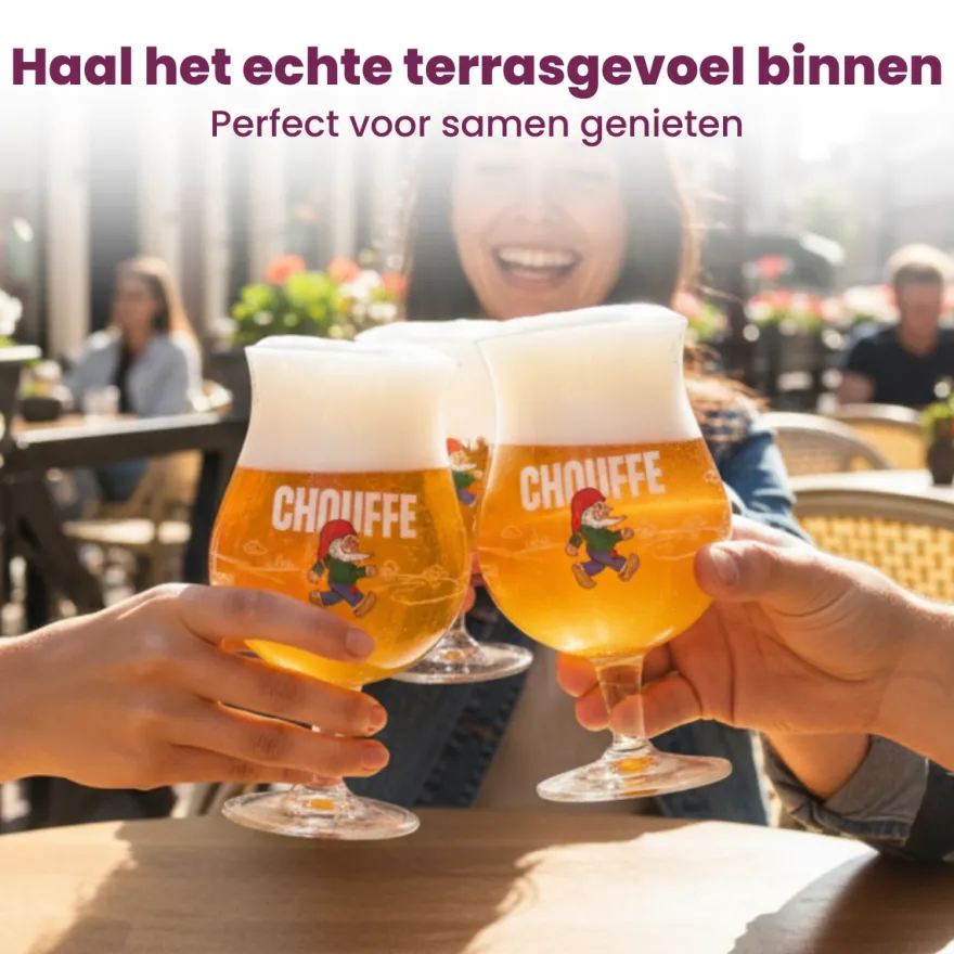 La Chouffe Bierglazen - 250 ml - 6 stuks