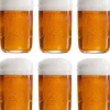 Lagunitas Bierglazen - 300 ml - 6 stuks