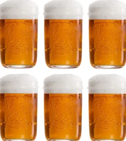 Lagunitas Bierglazen - 300 ml - 6 stuks