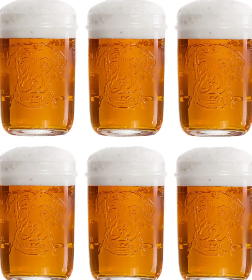 Lagunitas Bierglazen - 300 ml - 6 stuks