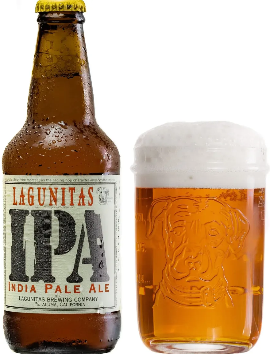 Lagunitas Bierglazen - 300 ml - 6 stuks