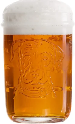 Lagunitas Bierglazen - 300 ml - 6 stuks