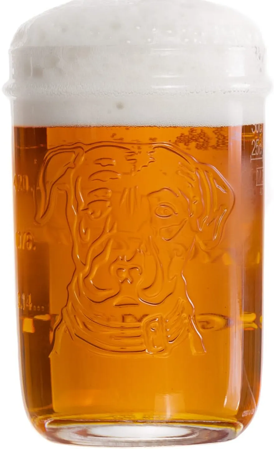 Lagunitas Bierglazen - 300 ml - 6 stuks