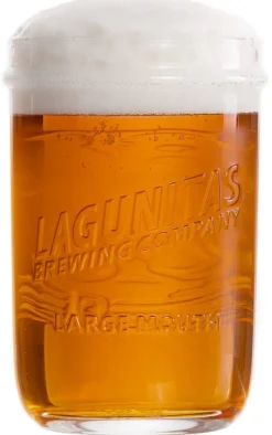 Lagunitas Bierglazen - 300 ml - 6 stuks
