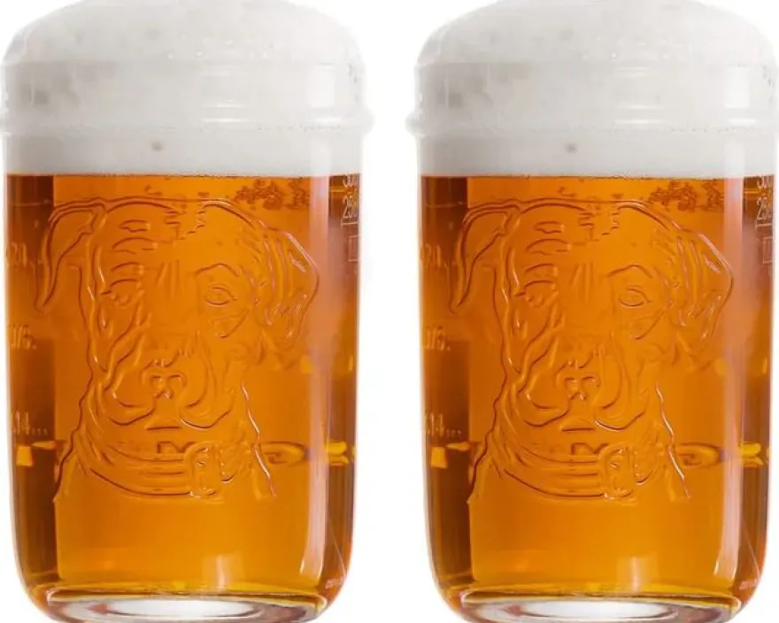 Lagunitas Bierglazen 300 ml - 2 stuks