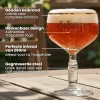 La Trappe Bierglazen 250 ml - 2 stuks