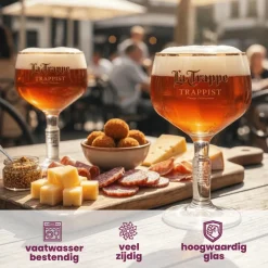 La Trappe Bierglazen 250 ml - 2 stuks