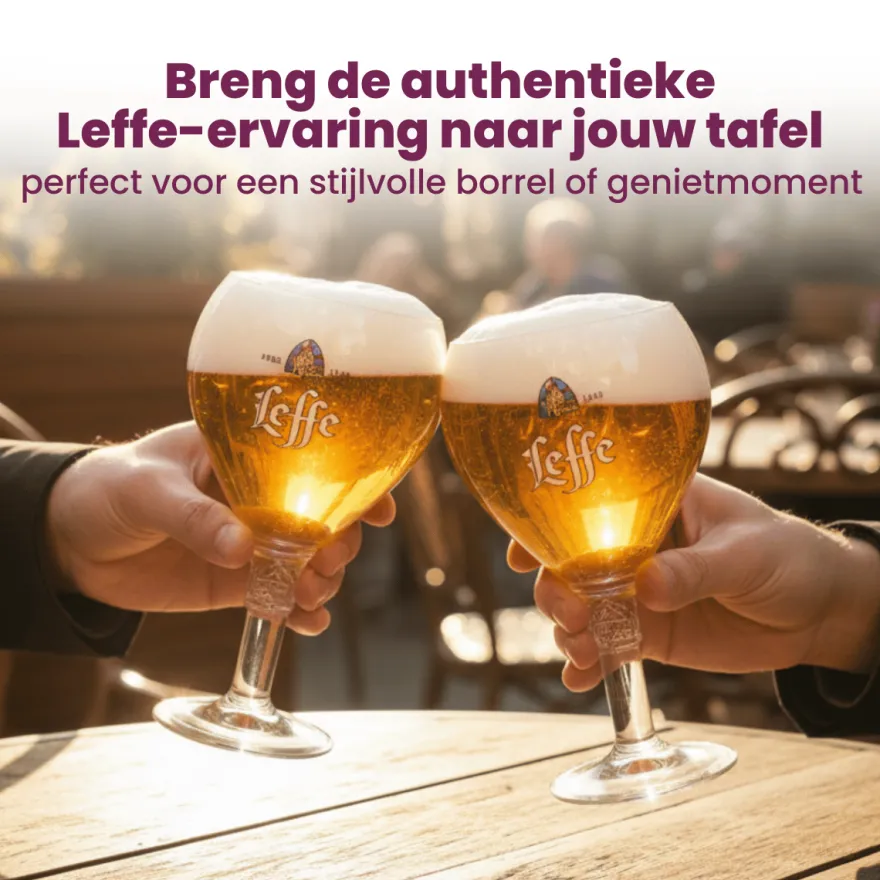 Leffe Bierglazen 250 ml - 6 Stuks