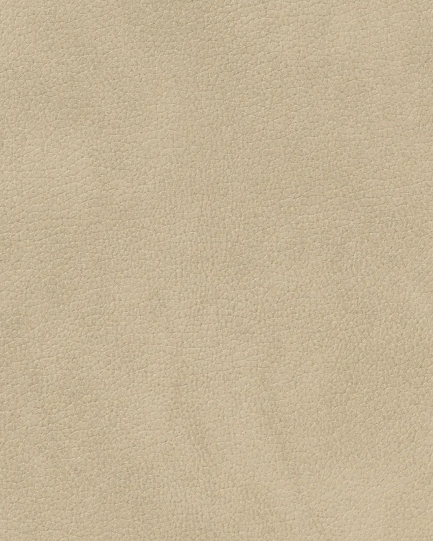 LIND DNA Placemats Nupo - Leer - Sand - Curved - Afwasbaar - 44 x 37 cm - 2 Stuks