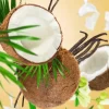 Maison Berger Navulling - voor autoparfum - Coconut Monoi - 2 Stuks