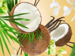 Maison Berger Navulling - voor autoparfum - Coconut Monoi - 2 Stuks