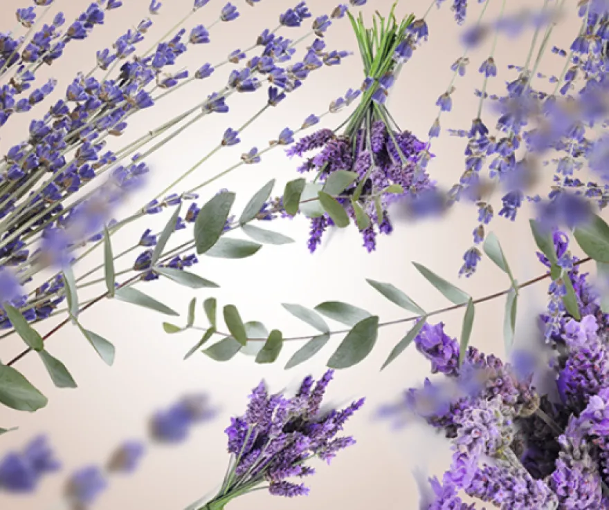 Maison Berger Navulling - voor geurstokjes - Lavender Fields - 200 ml