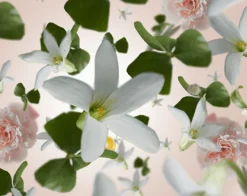 Maison Berger Navulling - voor geurbrander - Precious Jasmine - 500 ml