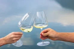 Riedel Witte Wijnglas Winewings - Riesling - 1017 ml