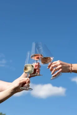 Schott Zwiesel Champagneglazen - Flutes - MioVino - 260 ml - 4 stuks