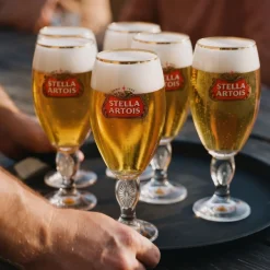 Stella Artois Bierglazen - Chalice - 250 ml - 6 stuks